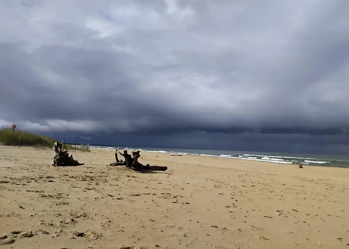 Babie Lato * Gdańsk